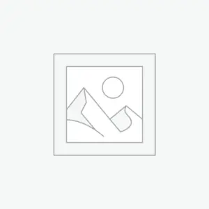 APT Pneumatic Riveter